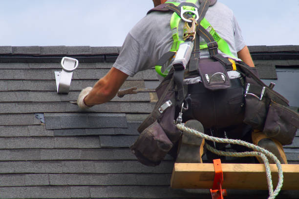 Best Roof Gutter Cleaning  in Aldine, TX