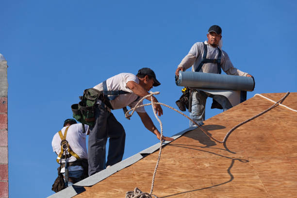 Quick and Trustworthy Emergency Roof Repair Services in Aldine, TX